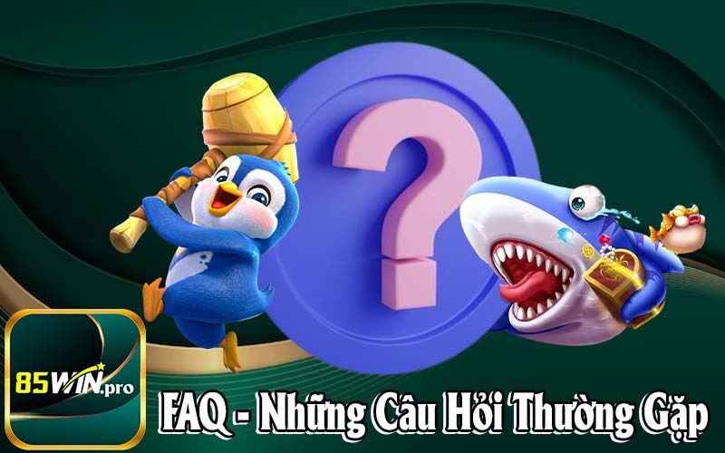 Các Câu Hỏi Thường Gặp