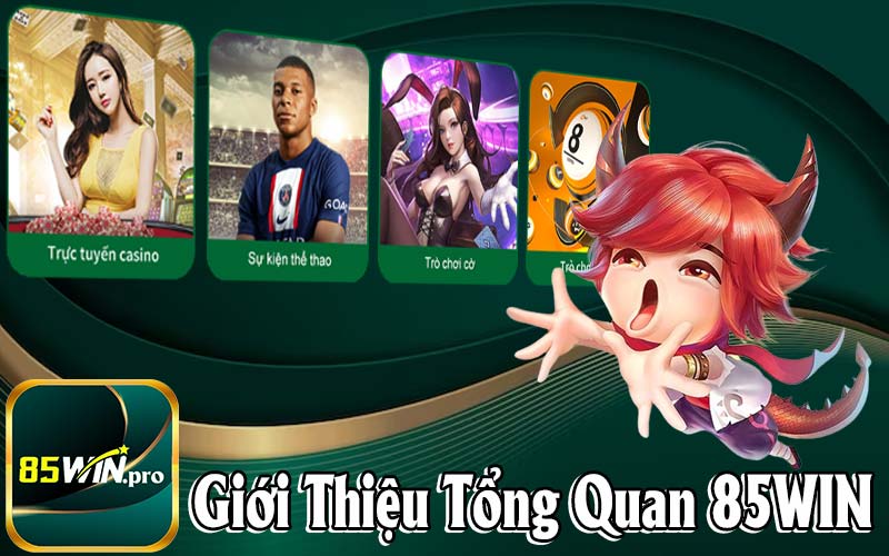 Giới Thiệu Tổng Quan 85Win